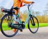 This major Dutch e-bike brand is in danger of going bankrupt