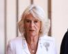 The kingdom shudders: Queen Camilla put to rest by her doctors, the medical diagnosis has spoken