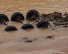 Spain. Another 89 missing a week after the Valencia floods