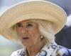 Scare at Buckingham: Queen Camilla cancels engagements due to lung infection