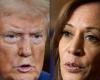 US presidential election 2024: Donald Trump is at 201 voters, Kamala Harris at 91, the results in key states will be crucial