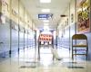 Kentuckians say ‘no’ to public funding for private, charter schools • Kentucky Lantern