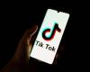 Harmful content: TikTok sued after the death of two teenagers in France