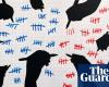 ‘It is a little analog’: how the Associated Press calls election winners in the US | US elections 2024