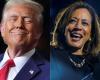 Kamala Harris vs Donald Trump race reaches climax in US election campaign increasingly marked by fear and vitriol