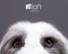 Aloft Milwaukee Downtown to host “No Watch Pawties” tonight