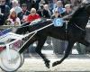 Quinté at Paris Vincennes on Tuesday November 5: Hervé Fortin's predictions