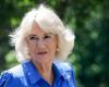 Queen Camilla cancels engagements due to lung infection