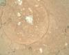 Perseverance discovers mysterious greenish spots on Mars