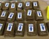 Major RCMP operation in Quebec: hashish and cocaine seized by the kilo