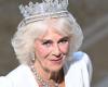 Queen Camilla suffers from lung infection, ‘short period of rest’ required