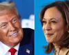 What if there was a perfect tie between Trump and Harris?