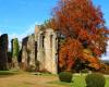 9 parks and gardens will open their doors free of charge to the public on November 16 and 17 on the occasion of the 1st edition of Parcs en Automne – Angers Info