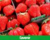 Intermarché bans strawberries and cherries from its shelves in France: what about Belgian supermarkets?