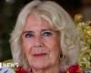 Queen Camilla withdraws from engagements due to chest infection