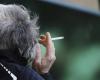 Tobacco-free month: Why is Ile-de-France the good student and Occitanie the dunce of smoking in France?