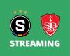 Streaming Sparta Prague – Brest: here is the best solution to watch the match live