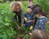 VIDEO – Goodbye asphalt, hello nature: the metamorphosis of playgrounds in schools