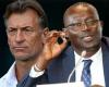 Staff lions – Me Senghor denies Hervé Renard: “I did not receive a file of his application” – Lequotidien