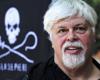 This city unfurls a huge banner in support of Paul Watson