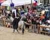 Maine-et-Loire. Only a few days left before the opening of the Horse Show in Angers