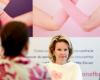 Queen Mathilde takes part in round tables for breast cancer research