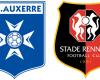 Auxerre – Stade Rennais: the SRFC “condemns acts of violence” on the sidelines of the match