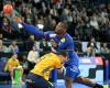 Handball: the French team in demonstration in Orléans