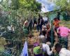 Striking teachers force entry into the Mayotte rectorate to obtain a meeting with the rector