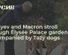 Tokayev and Macron stroll through Élysée Palace garden accompanied by Tazy dogs — – 06.11.2024