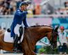 “I have nothing left to lose, I will go to the end”, the Olympic rider, Alexandre Ayache forced to sell his horses