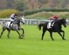 Figuéro slowly wins the Prix Ferdinand Riant at Auteuil