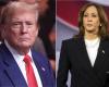 Trump vs Kamala: When can we expect US presidential election results for swing states?