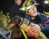 Firefighters and cavers… The spectacular rescue of a dog trapped since Saturday in the Pyrénées-Orientales