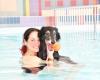 In the Eure, a Christmas swim with your dog