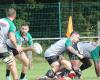 Rugby (Federal 3): will the Saint-Astier/Neuvic Union be able to bounce back?