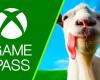 Xbox Game Pass: a new game full of bugs is arriving in the service today! | Xbox