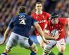 Transfers / Top 14 – Montpellier: Adam Beard and Ricky Riccitelli said yes, Ross Byrne in reflection