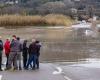 Deadly floods: how Languedoc, after the tragedies in Gard and Aude, maintains its culture of risk