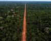 Rate of deforestation in the Brazilian Amazon at its lowest level in nine years