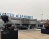 At Nantes airport, three giant bear cubs announce the exhibition by Michel Bassompierre, in Vertou