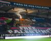 the development of the Collectif Ultras Paris on the “Free Palestine” tifo