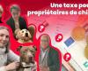 Tax dog owners in 2025? In the Oise, what do you think? “They better tax stupidity!”