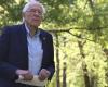 Bernie Sanders criticizes Kamala Harris' “disastrous campaign”