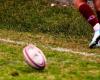 Two rugby players from US Dax, in Landes, in police custody for violence and sexual assault