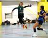 Handball: winning reconstruction for a Dordogne women’s team