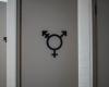 Gender-neutral toilets: the Vaud State Council flushes the toilet