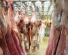 Sheep meat prices soar at Casablanca slaughterhouses