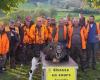 End clap for Phiphi, the star wild boar of Aveyron