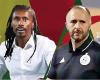 On the bench – Algeria-Senegal: Djamel Belmadi-Aliou Cissé, two unemployed XXL coaches – Lequotidien